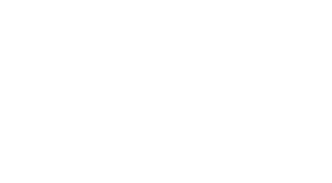 Entries.AI