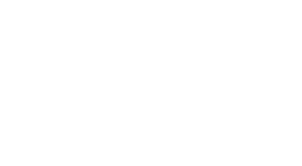 Entries.AI