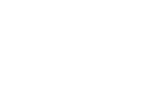 Entries.AI